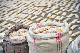 中東掀起毒品戰爭