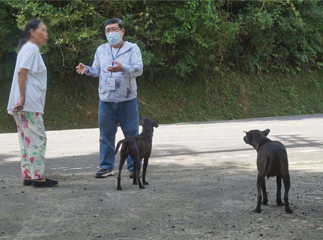 動保員訪查愛媽流蕩犬相關問題。（新北市動保處提供）