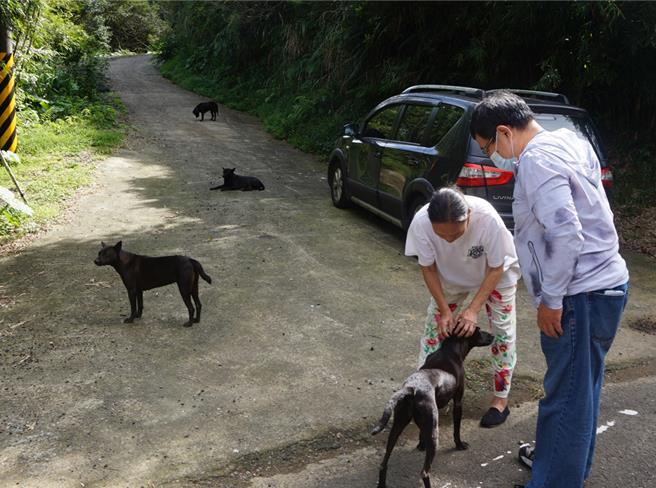 動保員訪查愛媽流蕩犬相關問題。（新北市動保處提供）