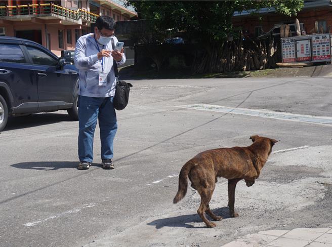 新北市進行遊蕩犬調查，對每隻遊蕩犬進行拍照定位列冊。（新北市動保處提供）