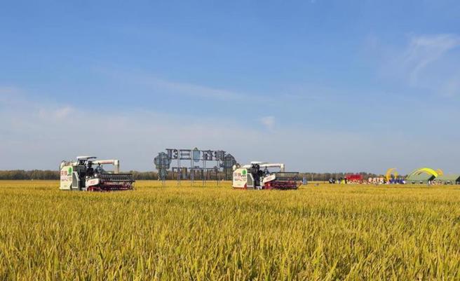 公粮价格调整与立院主决议有出入？陈骏季曝考量。（报系资料照）