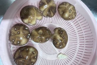 菜市場買香菇「菌傘冒出一堆白點」婆媽傻住：能吃嗎？