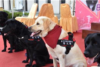 台中超萌4警犬光荣退役 2领犬员收养「伙伴」变家人