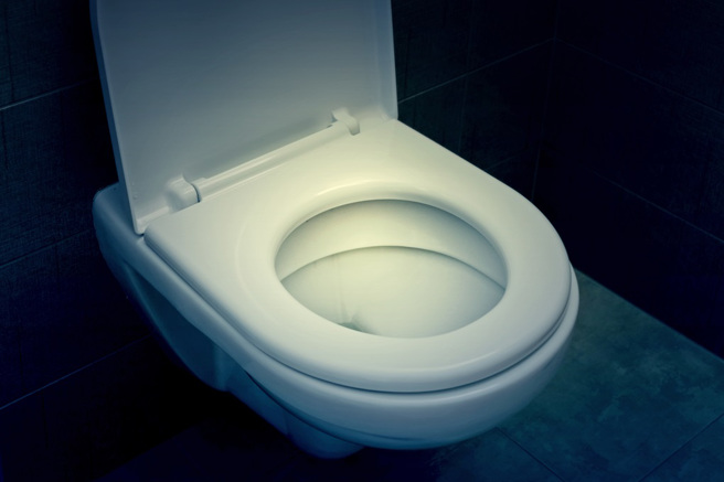 美国德州一名女子半夜摸黑上厕所，未料竟被藏在马桶盖下方的鼠蛇攻击。（示意图：Shutterstock／达志）