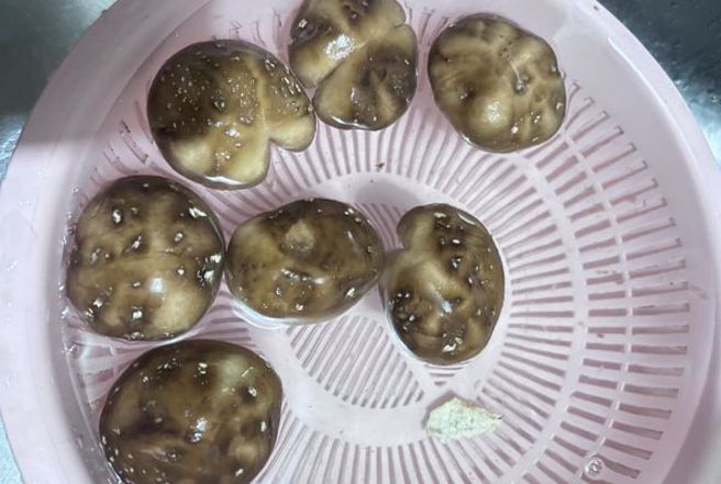 一名女网友在菜市场买到长白点的香菇。（翻摄自家常菜脸书）