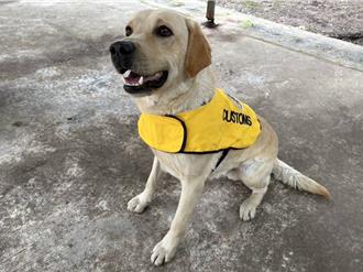 基隆关缉毒犬新兵报到 超萌「Expo」入列强化查缉量能