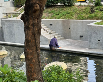 阿伯朝綠川噴屎！妹子目睹嚇到乾嘔 網哭喊：我上次放手機進去拍