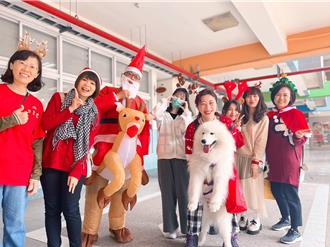 「微笑天使」薩摩耶化身雪橇犬送聖誕驚喜 萌翻校園