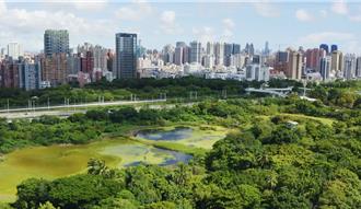 高雄洲仔溼地遭里長抱怨蚊蟲多！市府承諾優化設施解決