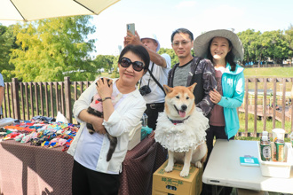 幸福六大支柱 台中幸福稻穗收成