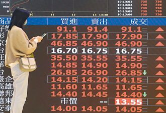 羅昇明年營運 可望逐季揚