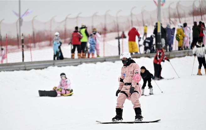 游客们在大陆寧夏银川市阅海滑雪场滑雪。 （摘自新华社）