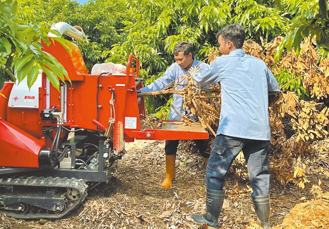 高雄市政府農業局辦理觀摩會展示中大型碎枝機及曳引機附掛錘刀盤處理田間廢棄枝條。（高雄市農業局提供／林雅惠高雄傳真）