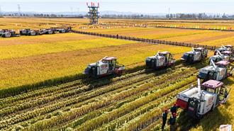 「端好飯碗」 陸2025年糧食生產三大重點出爐