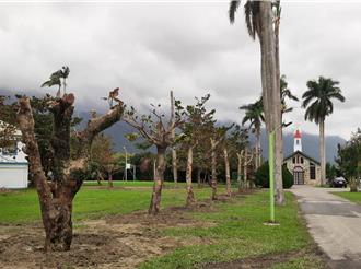 芥菜種會無償提供土地 花蓮少年之家旁道路將拓寬