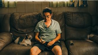 港片《爸爸》热卖明星猫三花爆红 耶诞谢票接客模样超萌