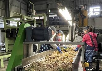 桃園市環保局呼籲  環保春節愛物惜食