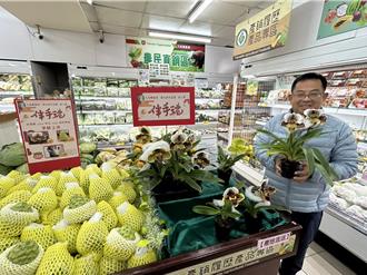 九如鄉農會推全新伴手禮盒「新三寶」 單買標準型肉餅也超划算