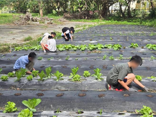 芥菜种会少年之家发展以实验教育理念支持孩子，并成立「少年学苑」服务社区有需求的儿少。（芥菜种会提供／王志伟花莲传真）