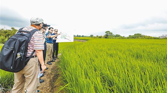 立法院内政委员26日展开朝野协商，针对是否展延等，委员有各种不同意见，绿委林淑芬建议，应该要分阶段先行，不要框几年来限缩施行日期。绿委刘建国则认为，要盘整到位，如果每个县市不同，会破坏整体制度。（本报资料照片）