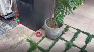 陳佩琪湊錢！家門口「放火爐」準備好等柯文哲回家