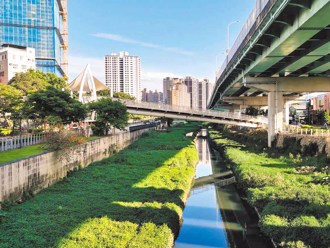 新年走春 板橋「蛇」麼都有