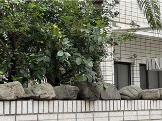 柯文哲傳將回新竹看柯爸   老鄰居這麼說