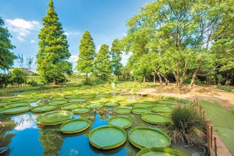 观音畅游 探访秘境
