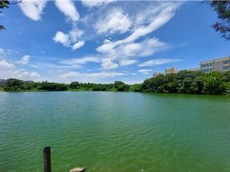 歷經40年！桃園頭洲公一公園計畫終於有進展