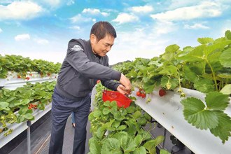 锦绣苗栗 採果泡汤趣