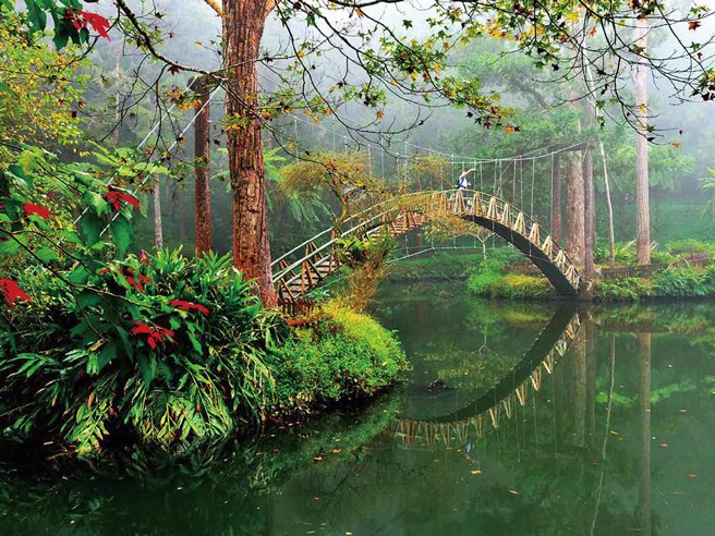 南投縣溪頭自然教育園區提供多元化的課程，打造森林療癒空間。（南投縣政府環境保護局）
