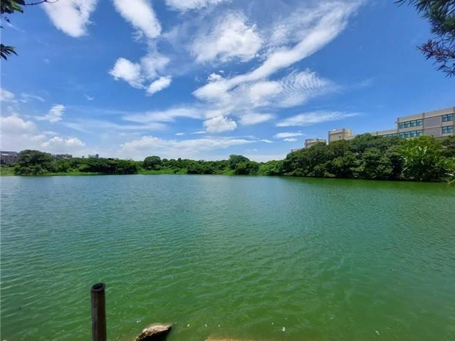 桃园市新屋区头洲公一公园终迎来新进度！桃园市工务局规画第一期林荫步道与眺景平台。（陈睿生提供／廖姮玥桃园传真）