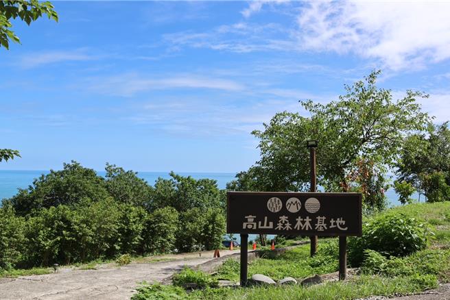 花莲县「高山森林基地」让人抛除繁乱思绪，透过亲手雕刻专属的木工作品，感受工艺与自然对话。（台湾工艺中心提供／杨静茹南投传真）