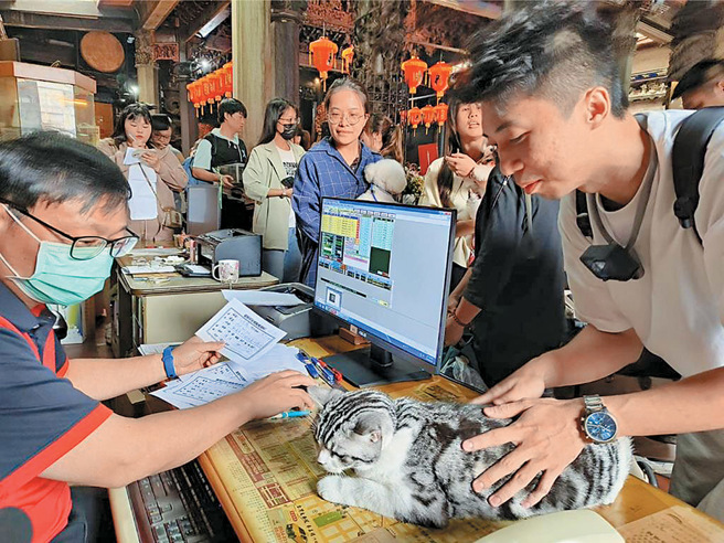 点「宠物平安灯」开跑，饲主们带宠物排队点灯。（图／廖素慧）


