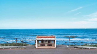  金山賞花泡湯樂