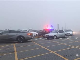 冷气团发威！合欢山追雪潮再现 武岭停车场满了