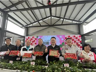 桃園進入草莓產季 高科技助力產量翻倍