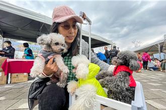 打造友善空間 宜蘭第2座寵物公園啟用