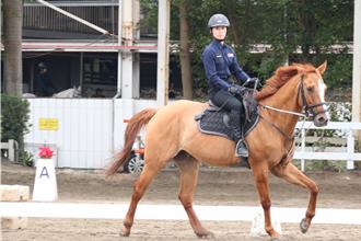 新北骑警队10新血加入 5处可见其「高超马术」身影