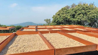 來去台南農村品好味 啜東山咖啡 啖鵝鄉盛宴