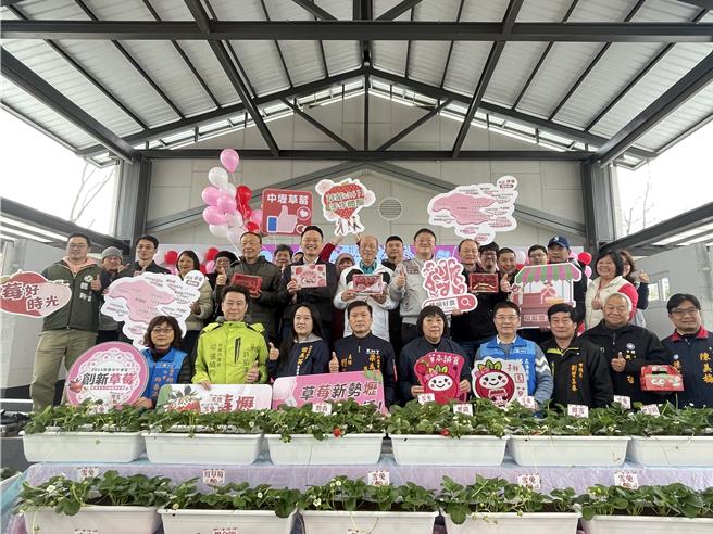 桃园市农业局、中华民国农会中坜办事处共同辅导，桃园草莓产量增加，今、明2天在中原文创园区举办草莓推广活动。(吕筱蝉摄)