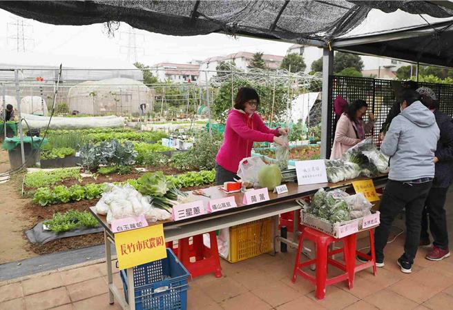 「長竹市民農園」每周六上午開園，周周連續不間斷提供友善耕作的新鮮蔬菜與通過有機認證的健康農產品供消費者選購。(嘉義市政府提供／呂妍庭嘉義傳真)