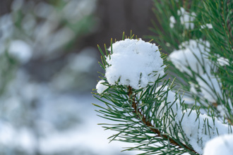 1月5日迎小寒 開運拜「剝殼類」供品 1禁忌要注意