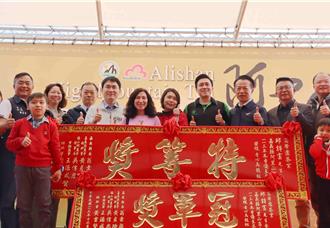 冬茶比賽冠軍出爐！高帝園晚1個月採收 抱回20多個獎項