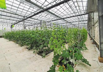 臺中農業局 開辦服務e櫃檯