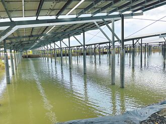 光電再跳票 今年建置量4年新低