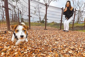 宜蘭 奔跑吧毛孩 員山寵物公園啟用