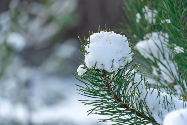 民俗专家柯柏成指出，小寒开运拜拜要带能剥壳或剥皮的供品，且小寒后、新年前不宜搬家。（示意图：Shutterstock／达志）