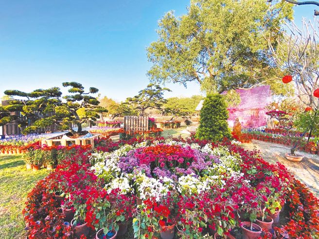 2025花在彰化走進花繪城事- 寶島- 中時新聞網