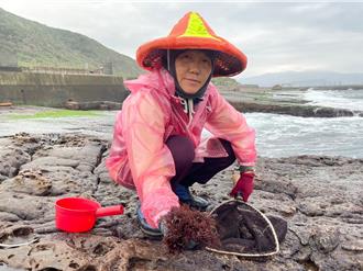 卯澳海女展現女性力量 推動社區活力與翻轉發展